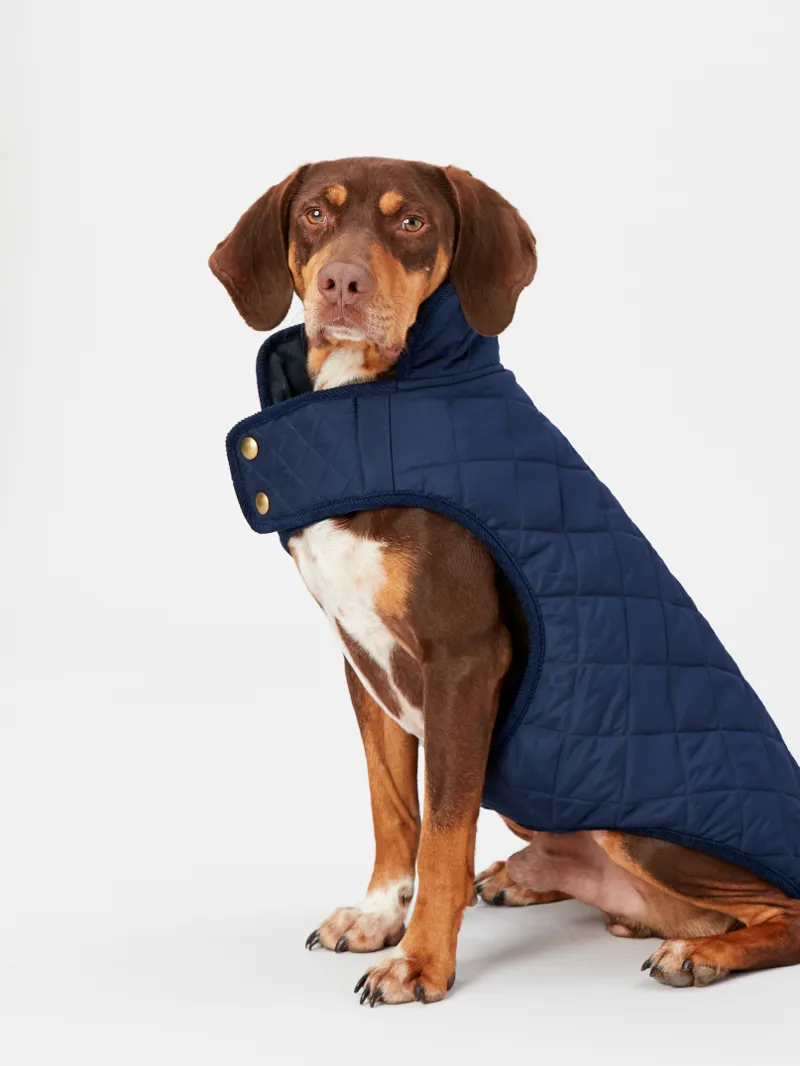 Joules Quilted Dog Coat Navy-1